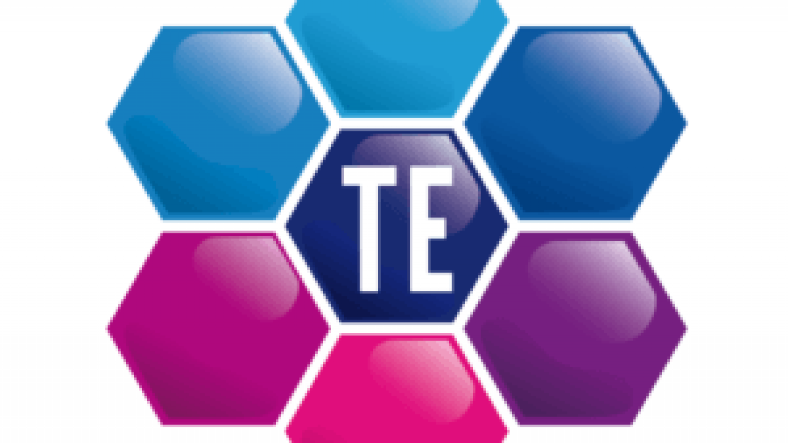logo-TE-300x227